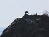 img_4500_thumb.jpg
