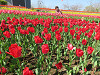 img_4919_thumb.jpg