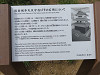 img_4996_thumb.jpg