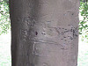 img_5000_thumb.jpg