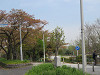 img_5050_thumb.jpg