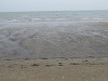 img_5152_thumb.jpg