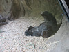 img_5728_thumb.jpg