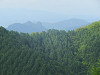 img_6316_thumb.jpg