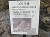 img_6557_thumb.jpg