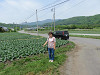 img_6776_thumb.jpg