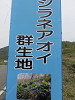 img_6889_thumb.jpg