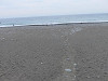 img_8041_thumb.jpg