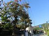 img_8168_thumb.jpg