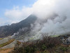 img_8334_thumb.jpg