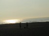 img_8653_thumb.jpg