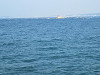 img_8677_thumb.jpg