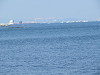 img_8712_thumb.jpg