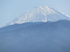 img_9177_thumb.jpg