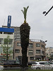 img_9786_thumb.jpg