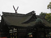 img_9805_thumb.jpg