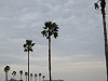 img_9841_thumb.jpg