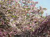img_0011_thumb.jpg