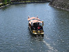img_0035_thumb.jpg