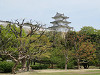 img_1016_thumb.jpg