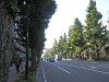 pb040144_thumb.jpg
