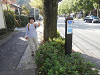 pb040147_thumb.jpg