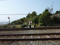 P1010497_thumb.jpg