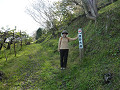 p1010598_thumb.jpg