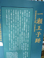 p1010625_thumb.jpg
