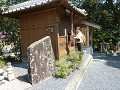 p1010651_thumb.jpg