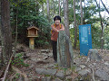 p1010696_thumb.jpg