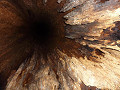 p1010794_thumb.jpg