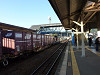p1000624_thumb.jpg