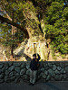 p1010010_thumb.jpg