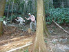 p1010082_thumb.jpg