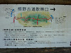 p1000694_thumb.jpg