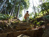 p1000711_thumb.jpg