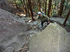 p1000715_thumb.jpg