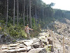 p1000803_thumb.jpg