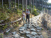p1000807_thumb.jpg
