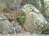p1000827_thumb.jpg