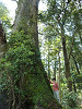 p1010008_thumb.jpg