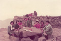 t7508-100_thumb.jpg
