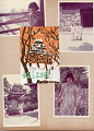t7607-050_thumb.jpg