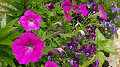 img20250516124915_thumb.jpg