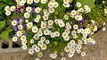 img20250516124922_thumb.jpg