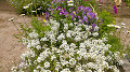 img20250516125154_thumb.jpg