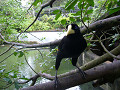 P1050152_thumb.jpg