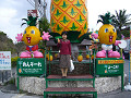 P1050161_thumb.jpg
