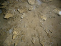 P1050269_thumb.jpg